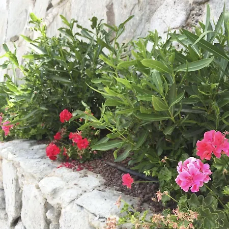 Aparthotel Club Jardin Amadores